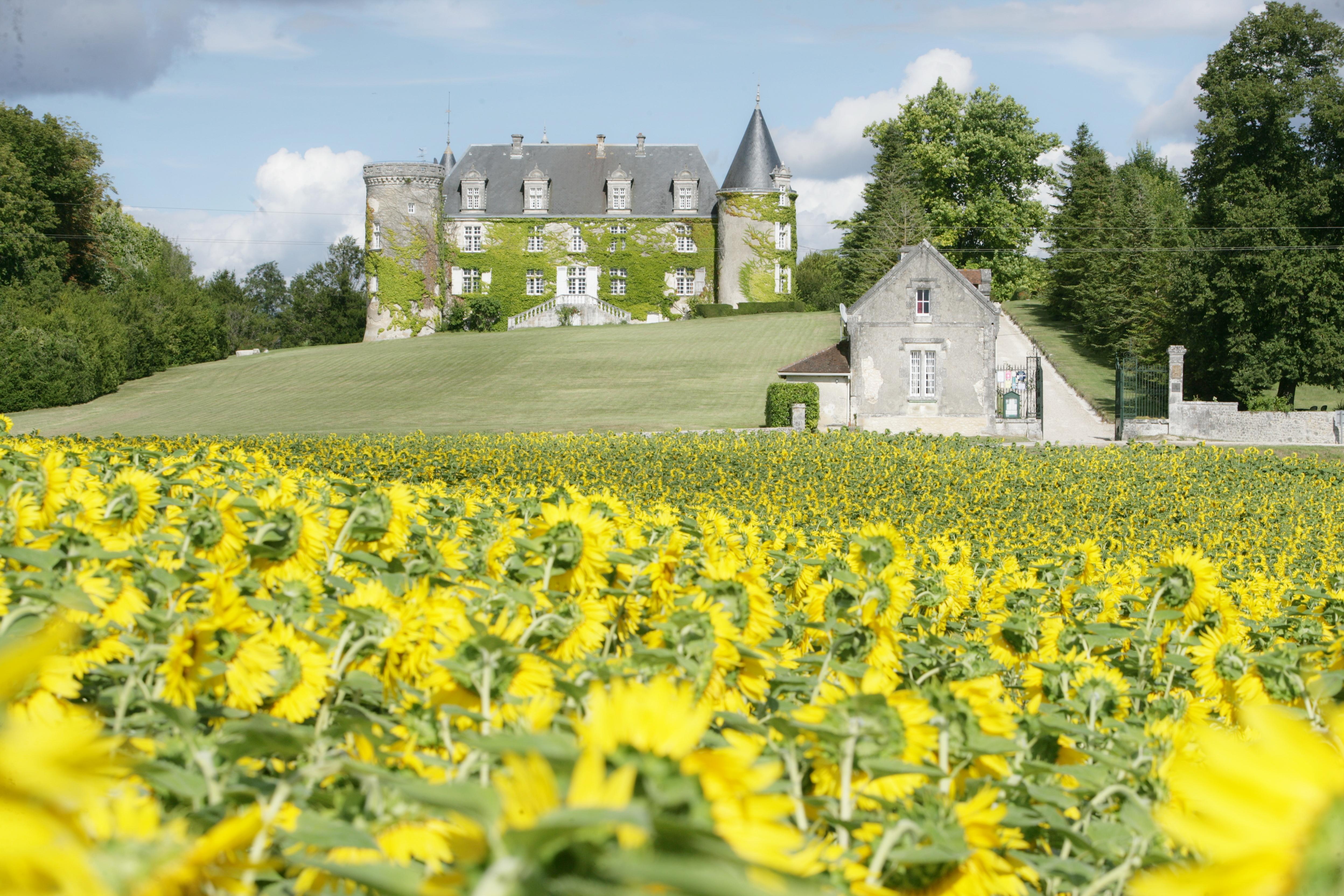 Hotel & Spa Chateau De La Cote - Brantome Biras Bagian luar foto