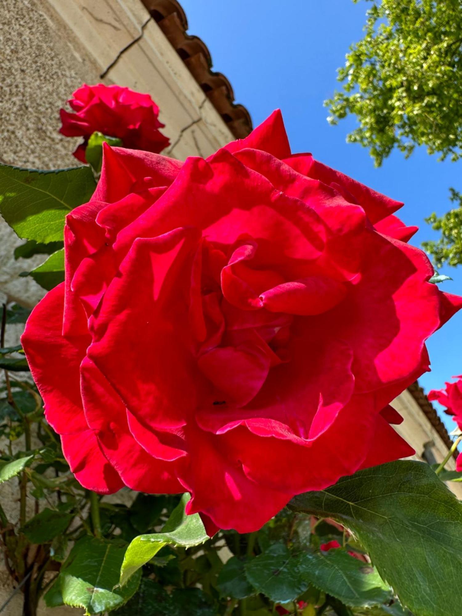 Hotel & Spa Chateau De La Cote - Brantome Biras Bagian luar foto