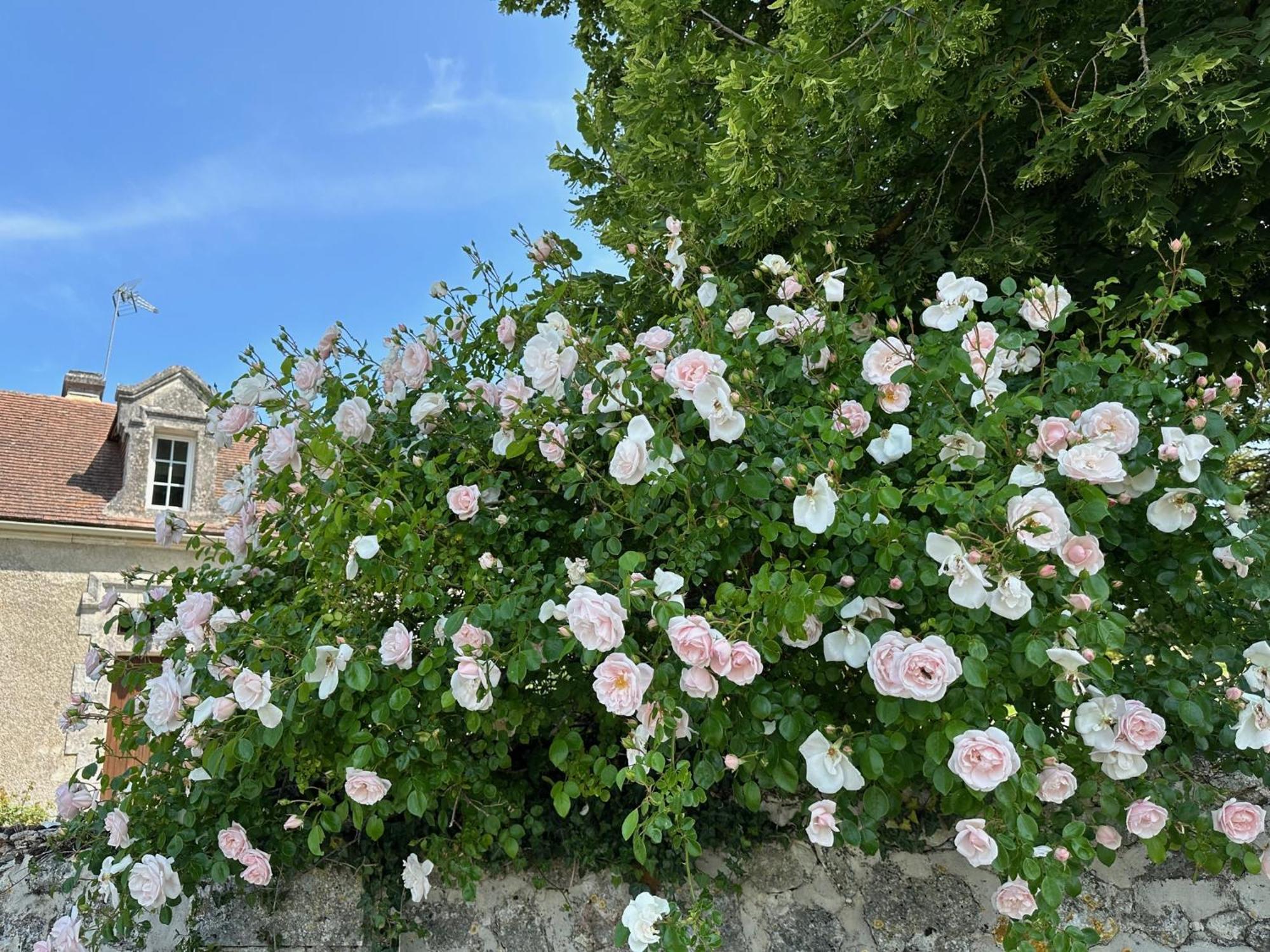 Hotel & Spa Chateau De La Cote - Brantome Biras Bagian luar foto